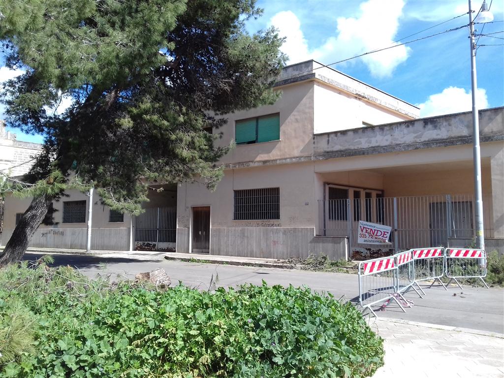 Albero caduto, difficoltà a raggiungere la Stazione