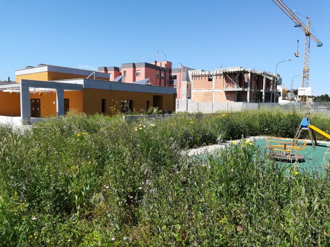 &quot;Asilo nido assediato dalle erbacce. Galatina non lo merita! Qualcuno risponda&quot;