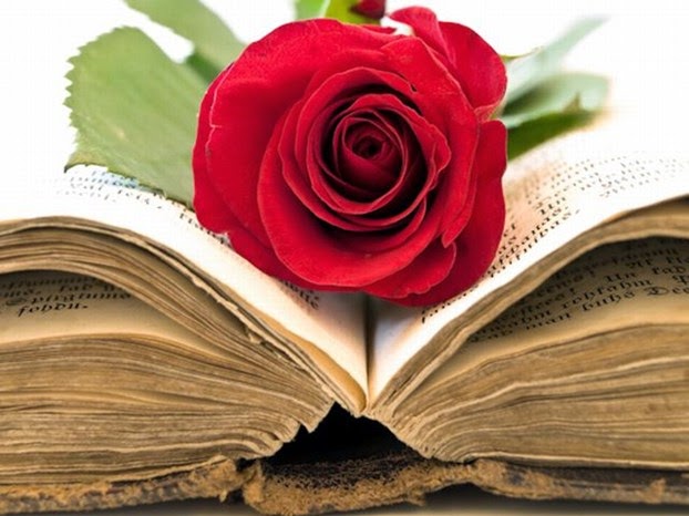 Una rosa per un libro Una rosa per un libro