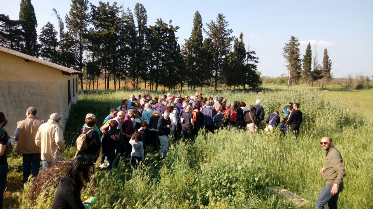 Saper distinguere il grano dallo &quot;scioju&quot;