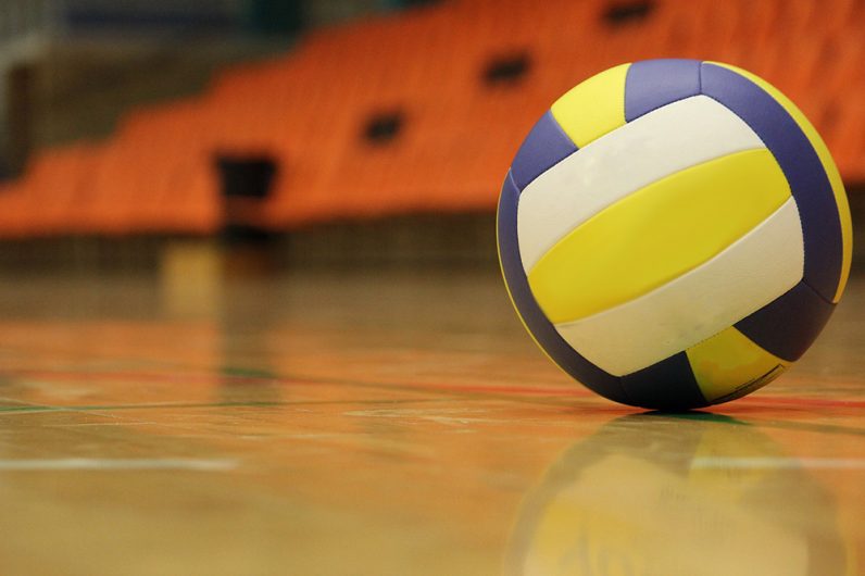 Il settore giovanile della Showy ai vertici del volley regionale Il settore giovanile della Showy ai vertici del volley regionale