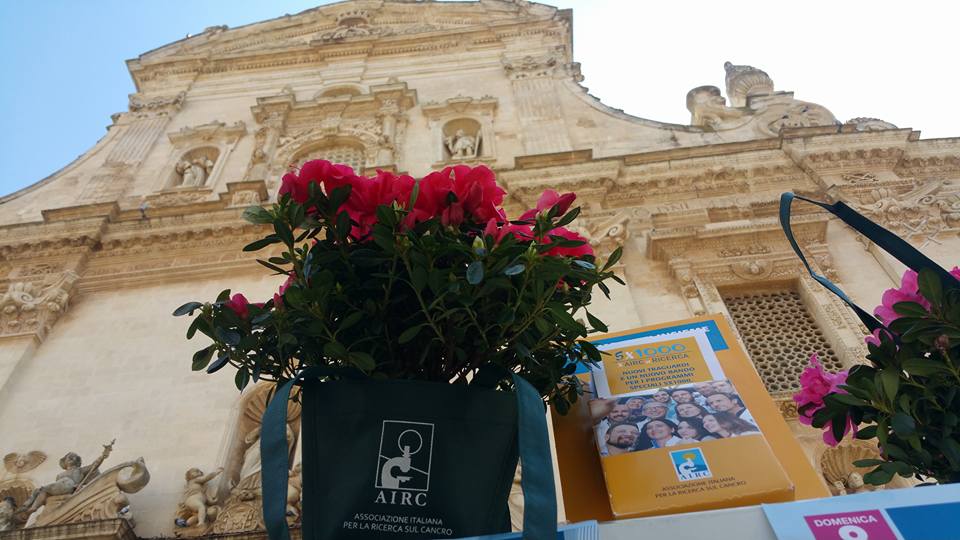 Oggi e domani in piazza l'azalea della ricerca contro il cancro
