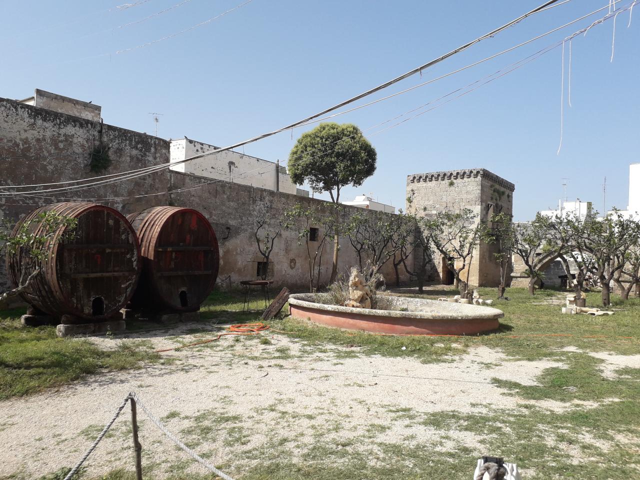 "La Civetta dal Cuore Amico"