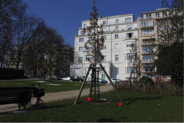 Insetti più piccoli a causa del riscaldamento del pianeta