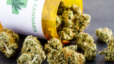 A Lecce non si trova la Cannabis terapeutica, A Lecce non si trova la Cannabis terapeutica,