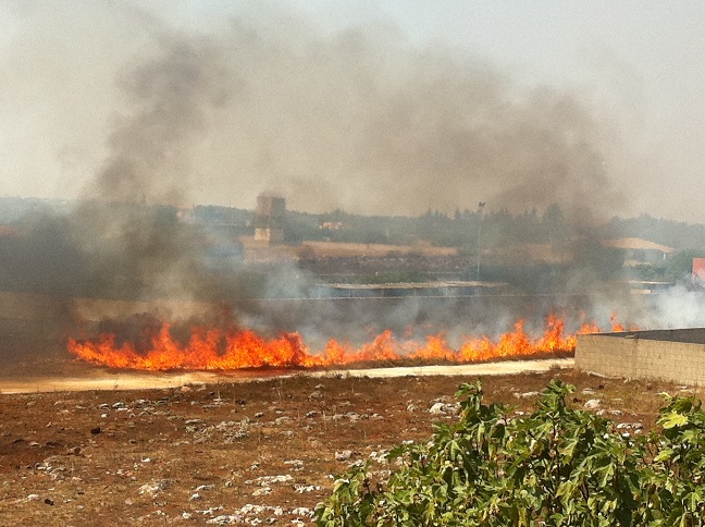 Un modello matematico aiuta a prevedere gli incendi Un modello matematico aiuta a prevedere gli incendi
