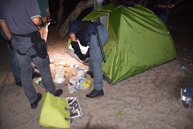 Riportata la legalità nella pineta di Torre dell'Orso Riportata la legalità nella pineta di Torre dell'Orso