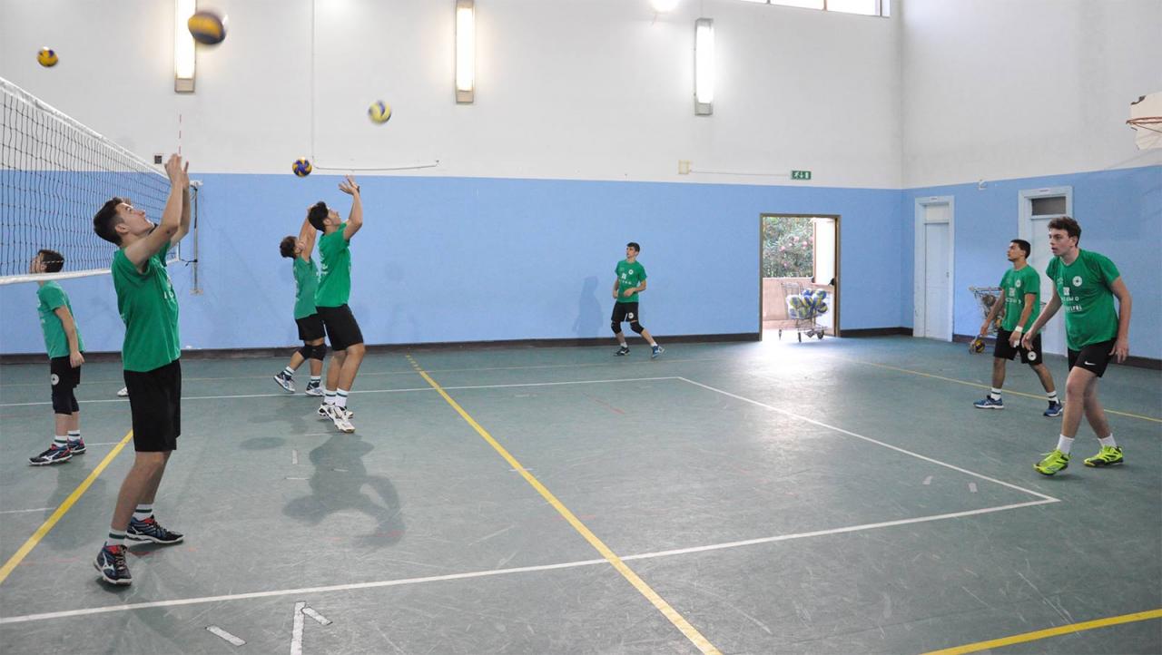 Showy Boys iscritta alla serie C Showy Boys iscritta alla serie C