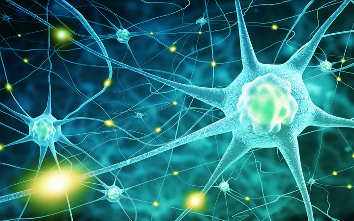 Dalla ricerca Unisalento una nuova tecnica per lo studio delle nanoparticelle metalliche inglobate nelle cellule Dalla ricerca Unisalento una nuova tecnica per lo studio delle nanoparticelle metalliche inglobate nelle cellule