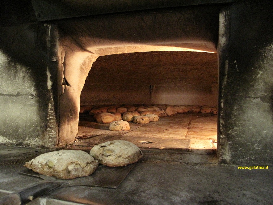 Pane fresco o pane caldo? Pane fresco o pane caldo?