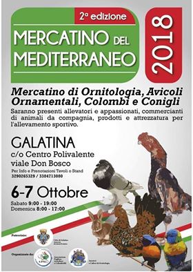 Galline, galli, colombi, uccelli in mostra