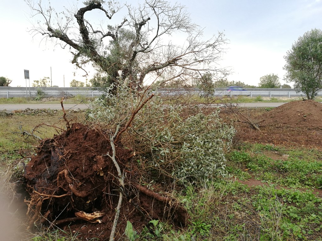 Pericolo a Collemeto, una tromba d'aria sfiora l'abitato