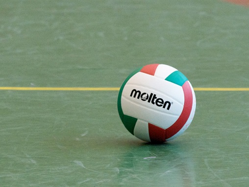 Grande successo del minivolley della Showy Grande successo del minivolley della Showy
