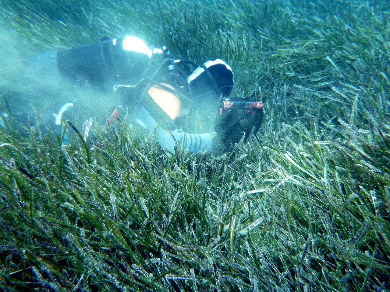 L'anidride carbonica in atmosfera farà cambiare le spiagge L'anidride carbonica in atmosfera farà cambiare le spiagge