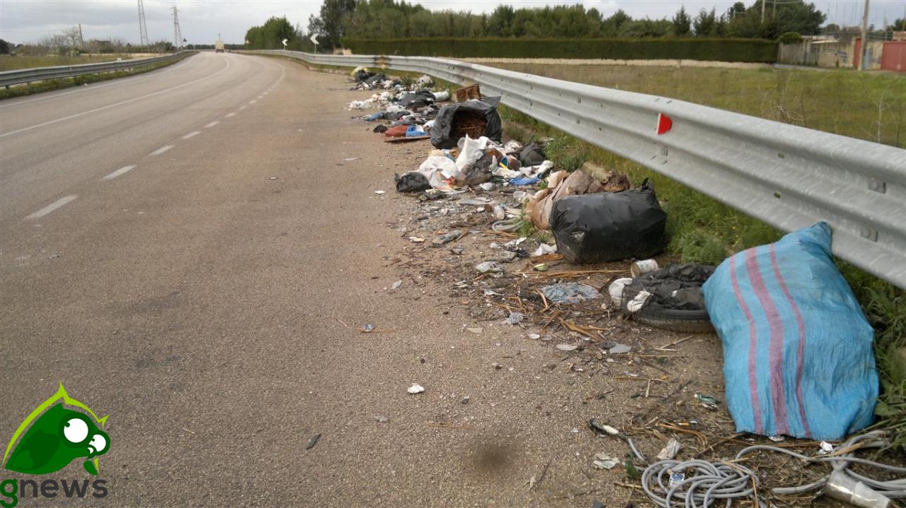 Al via la pulizia delle strade provinciali Al via la pulizia delle strade provinciali