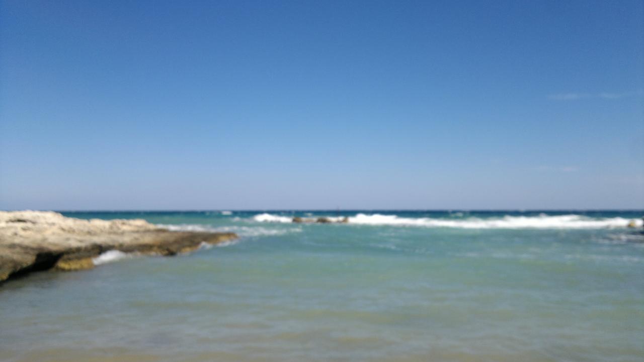 "Come conservare il Mediterraneo in salute e sfruttarne in modo sostenibile i beni e i servizi" "Come conservare il Mediterraneo in salute e sfruttarne in modo sostenibile i beni e i servizi"
