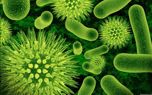 I virus potenziali vettori per il trasferimento genico orizzontale I virus potenziali vettori per il trasferimento genico orizzontale