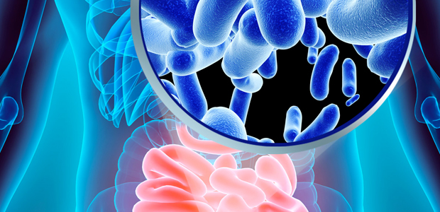 C'è un rapporto diretto tra fibrosi cistica e alterazione del microbiota intestinale C'è un rapporto diretto tra fibrosi cistica e alterazione del microbiota intestinale