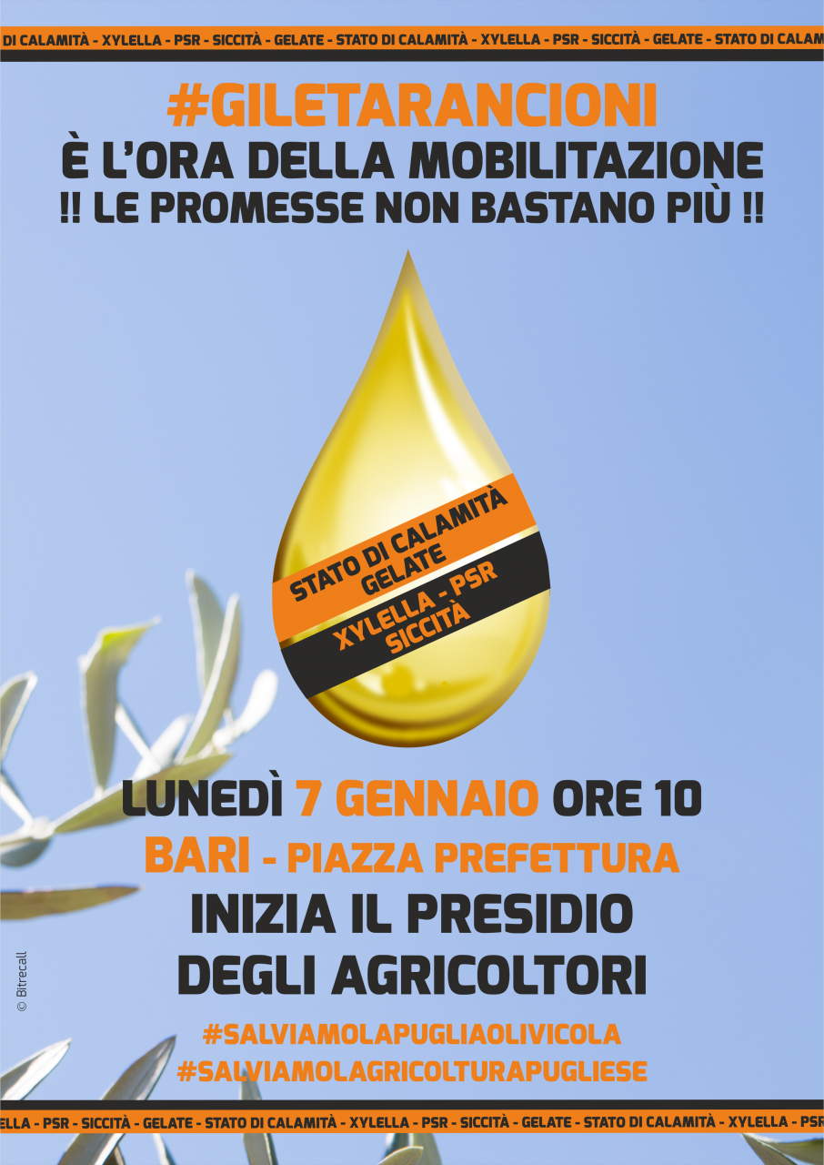 Anci Puglia con i Sindaci a sostegno degli agricoltori Anci Puglia con i Sindaci a sostegno degli agricoltori
