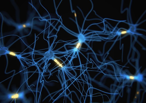 Comunicazione neuronale, pronte le sinapsi artificiali Comunicazione neuronale, pronte le sinapsi artificiali