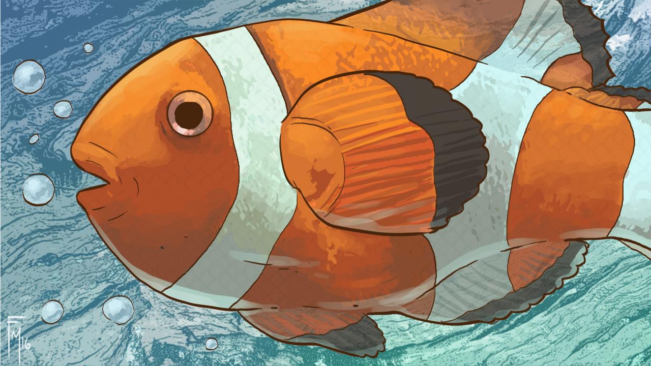  &quot;Torre Matta Experience - Una magia per tutti&quot;