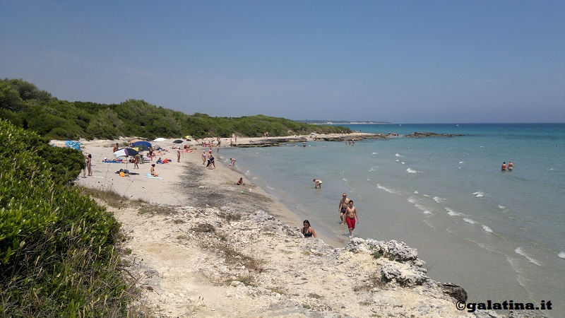 Sette spiagge per un “Tour Ecologico” Sette spiagge per un “Tour Ecologico”