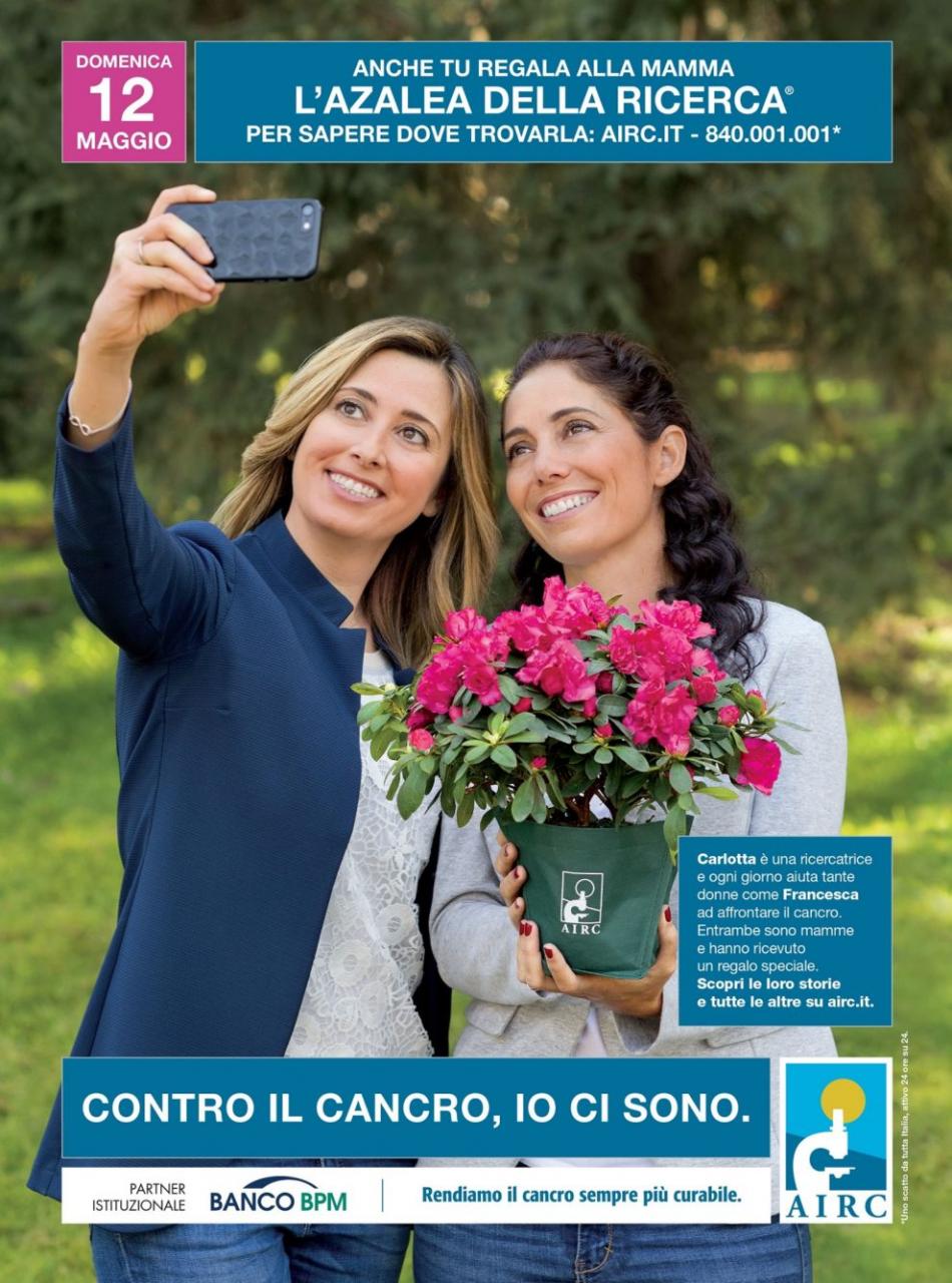 Torna anche a Galatina l’appuntamento con l’Azalea della Ricerca di AIRC Torna anche a Galatina l’appuntamento con l’Azalea della Ricerca di AIRC
