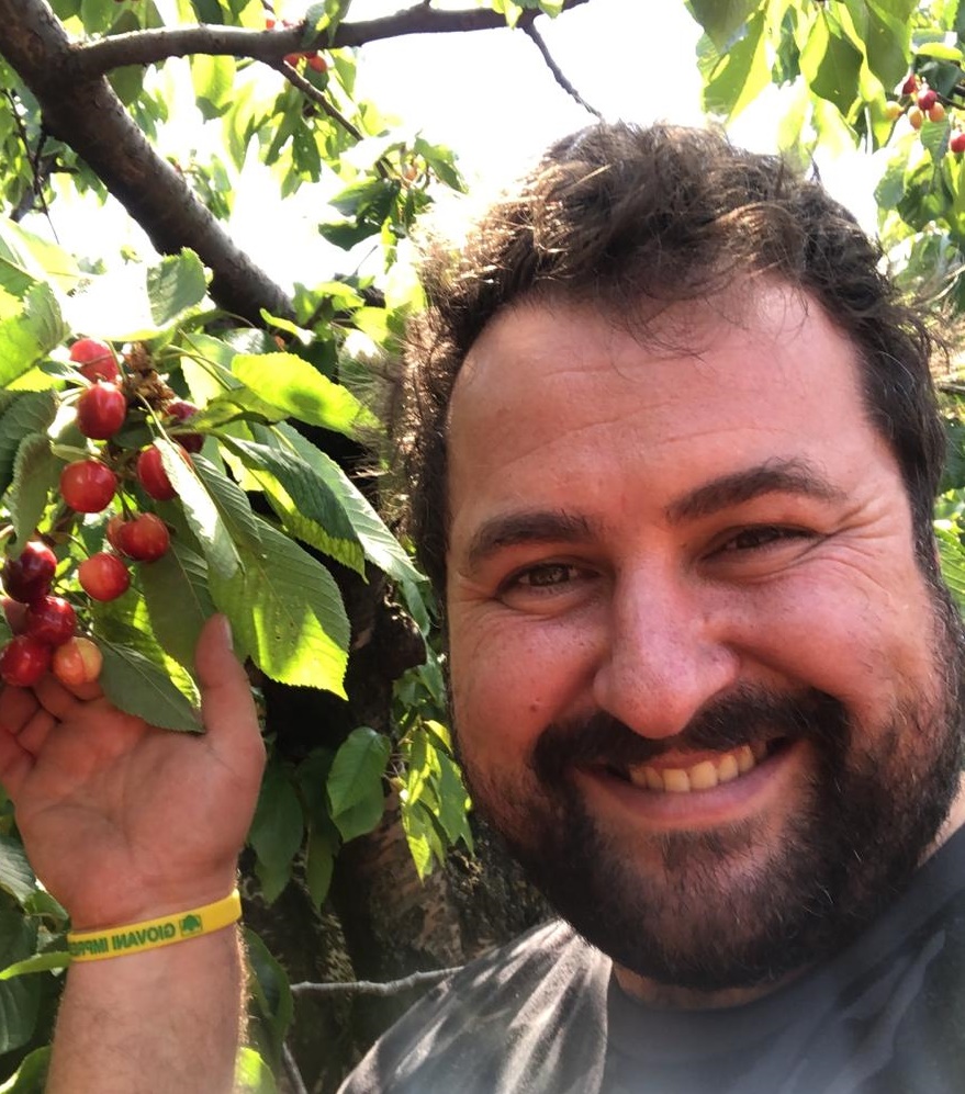 Le ciliegie maturano in anticipo, preoccupata Coldiretti Puglia Le ciliegie maturano in anticipo, preoccupata Coldiretti Puglia