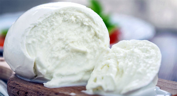 Messa a punto dal Cnr una tecnica per scoprire la presenza di latte non italiano nelle mozzarelle di bufala Messa a punto dal Cnr una tecnica per scoprire la presenza di latte non italiano nelle mozzarelle di bufala