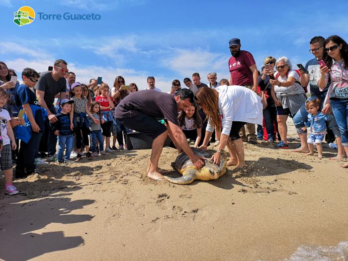 La bella storia della tartaruga Giorgia salvata da una bimba di otto anni