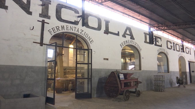 “Armonie per la salute a Scuola”