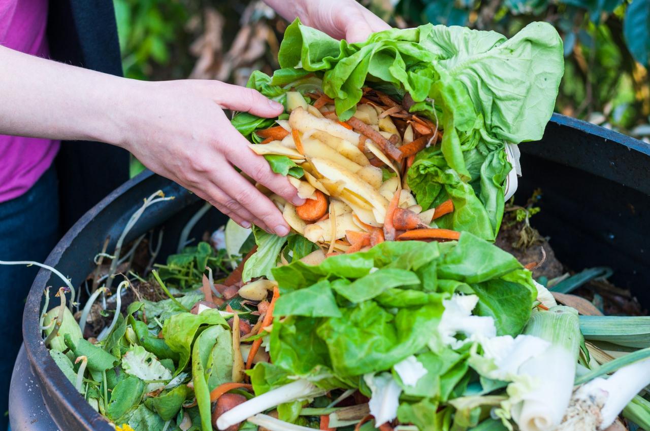 In Puglia si buttano 310mila tonnellate all’anno di cibo In Puglia si buttano 310mila tonnellate all’anno di cibo
