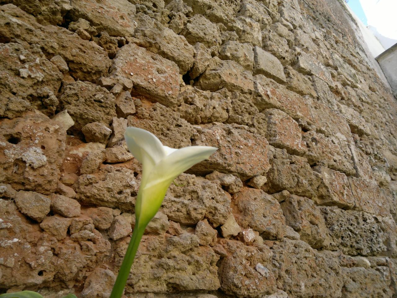 Per dare di più basta sognare Per dare di più basta sognare