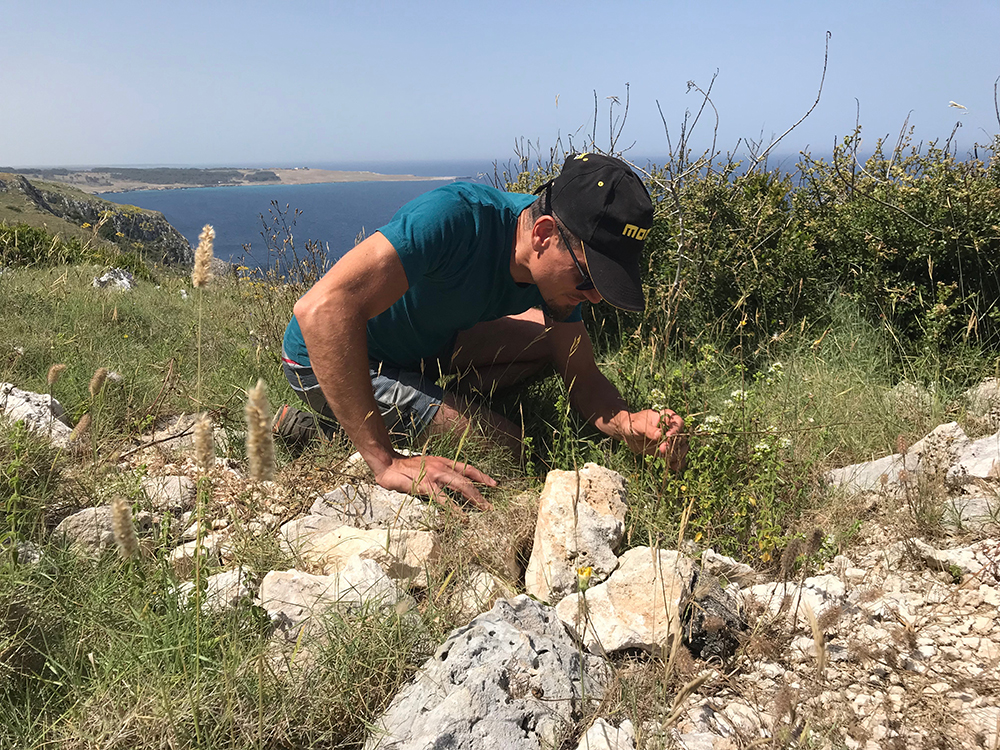 “Erbe da bere” il 15 agosto alla Palascia