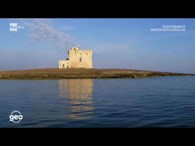 Torre Guaceto, venticinque minuti di pura bellezza Torre Guaceto, venticinque minuti di pura bellezza