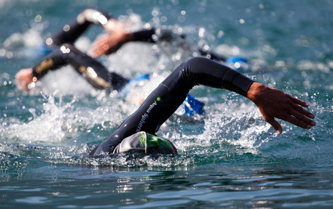 Nuoto in acque libere, a Gallipoli il finale di stagione Nuoto in acque libere, a Gallipoli il finale di stagione