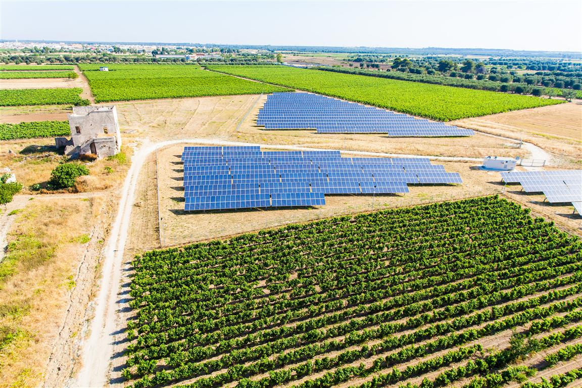 'Decanter' premia a Londra la 'Feudi di Guagnano'