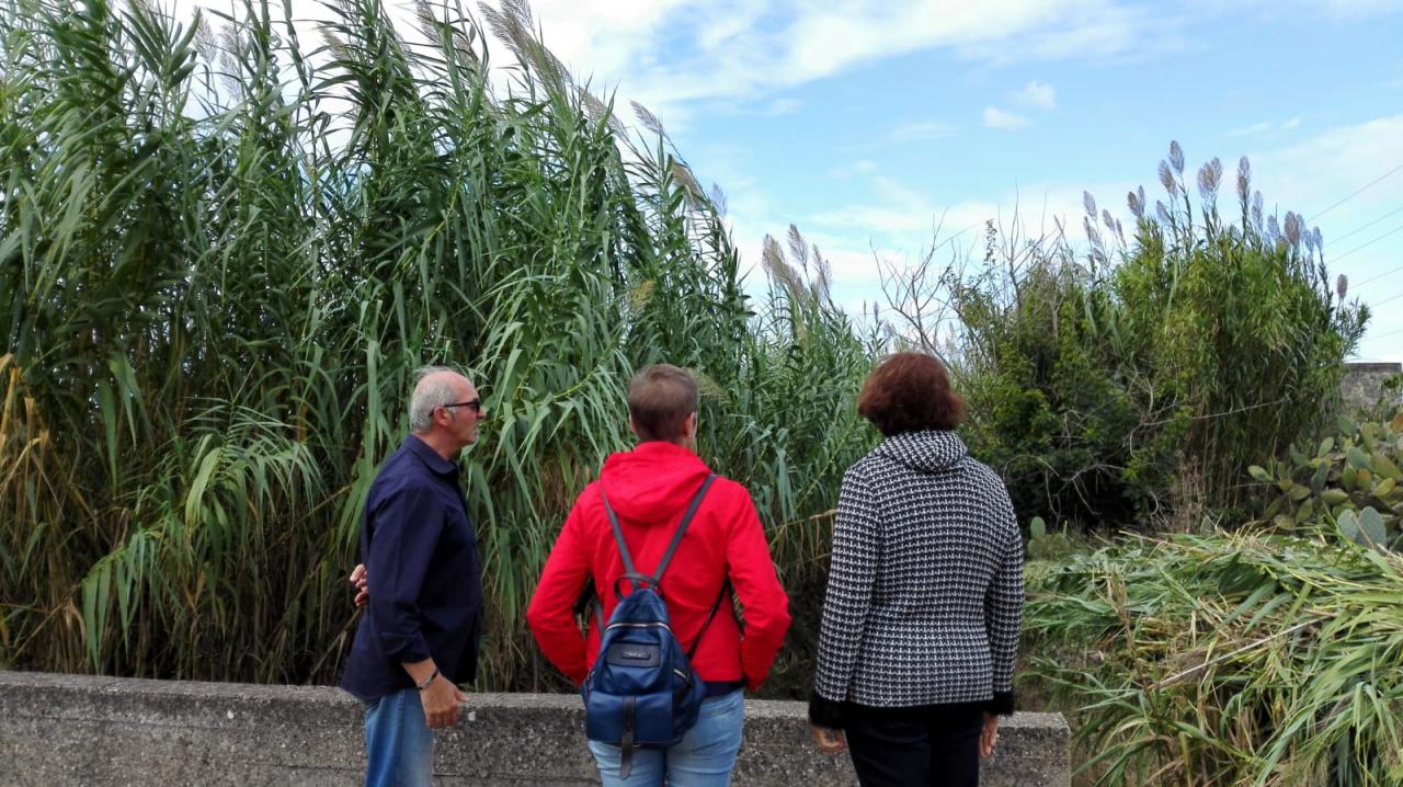 Canale dell'Asso, un sopralluogo per prevenire le esondazioni
