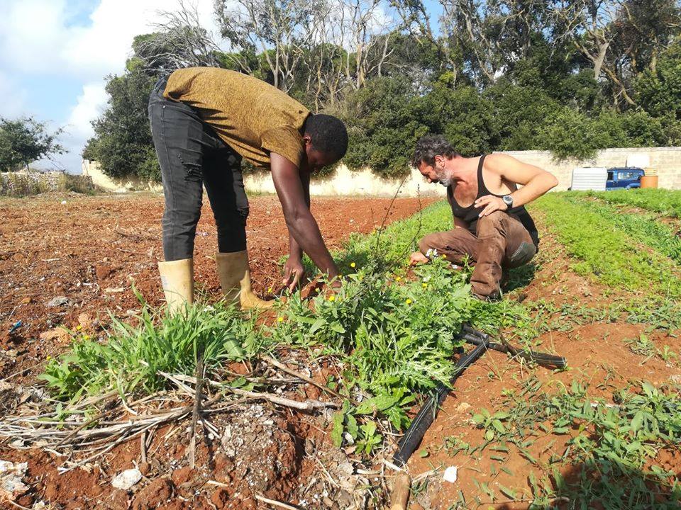 Giovani utenti psichiatrici e famiglie migranti coinvolti in un innovativo progetto di bioagricoltura