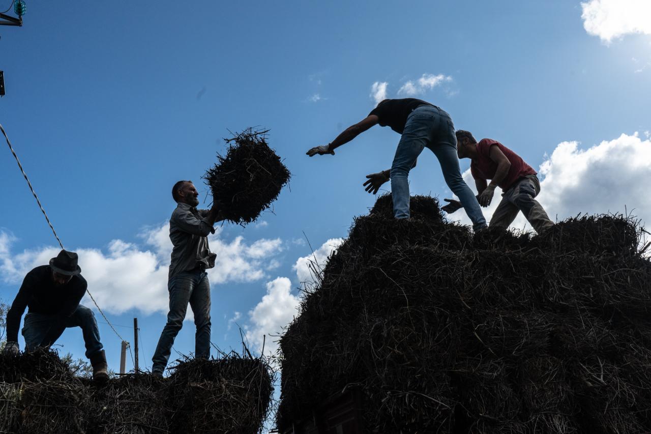 Tutte le novità della Focareddha di Presicce