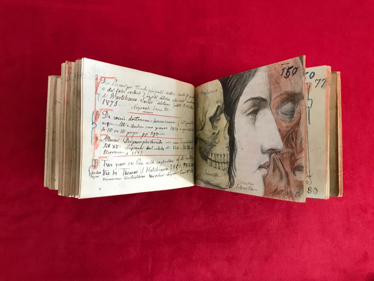 I taccuini di Pietro Cavoti in mostra per celebrare il bicentenario della nascita dell'illustre galatinese