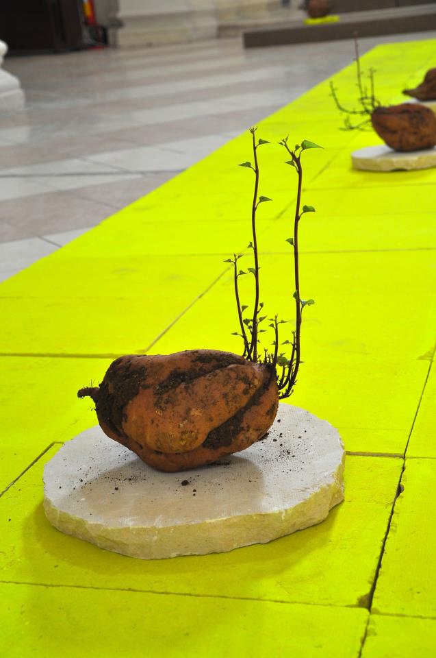 “Che arte fa? Dalla biennale 2019 alle opere recenti di Cattelan e Banksy”