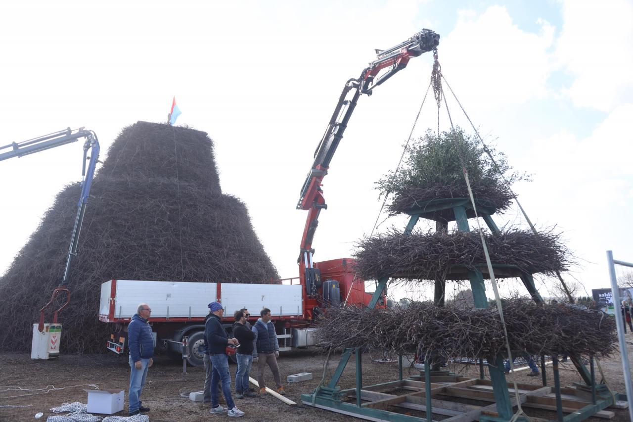 Un ramo secco d'ulivo in cima alla focara 