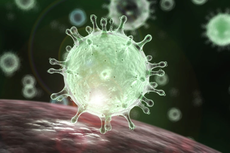 Corona virus, Circolare del Ministero dell'Istruzione indirizzata a tutte le scuole Corona virus, Circolare del Ministero dell'Istruzione indirizzata a tutte le scuole
