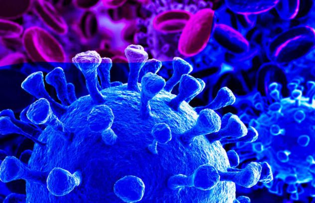 Coronavirus, "Non serve correre al pronto soccorso o chiudersi in casa" Coronavirus, "Non serve correre al pronto soccorso o chiudersi in casa"