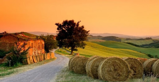 Coronavirus, annullato il 20% delle prenotazioni negli agriturismi in Puglia 