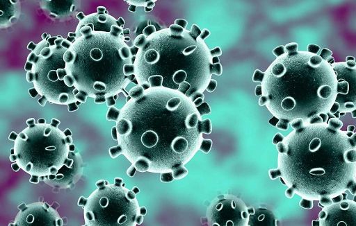 I genomi del virus Sars-Cov-2 non sono differenti dal ceppo cinese I genomi del virus Sars-Cov-2 non sono differenti dal ceppo cinese