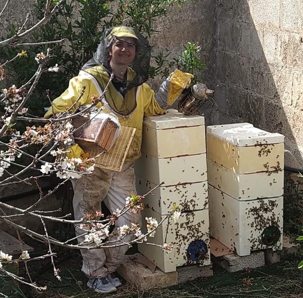 Api sotto stress in Puglia, crolla dell'80% la produzione di miele