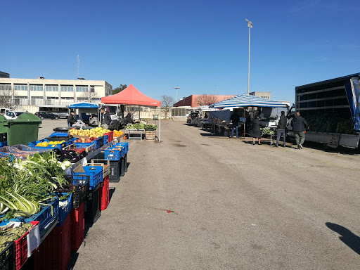 Il mercato del Giovedì riapre con le regole anti coronavirus Il mercato del Giovedì riapre con le regole anti coronavirus