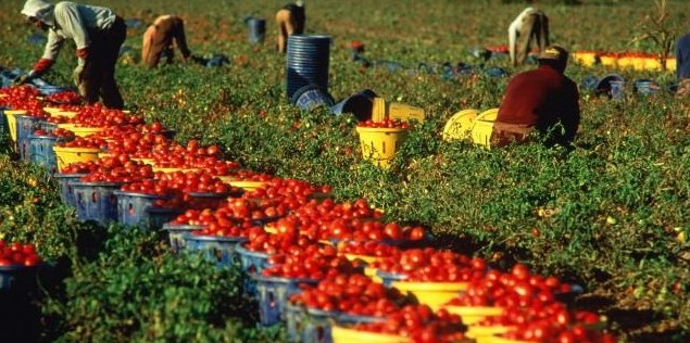 Online la procedura per favorire l'emersione di rapporti di lavoro irregolare in corso con cittadini stranieri Online la procedura per favorire l'emersione di rapporti di lavoro irregolare in corso con cittadini stranieri